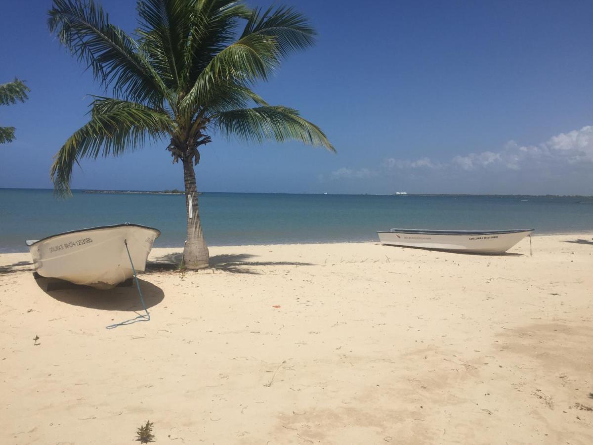 Villa Real Playa Nueva Romana La Romana Eksteriør bilde