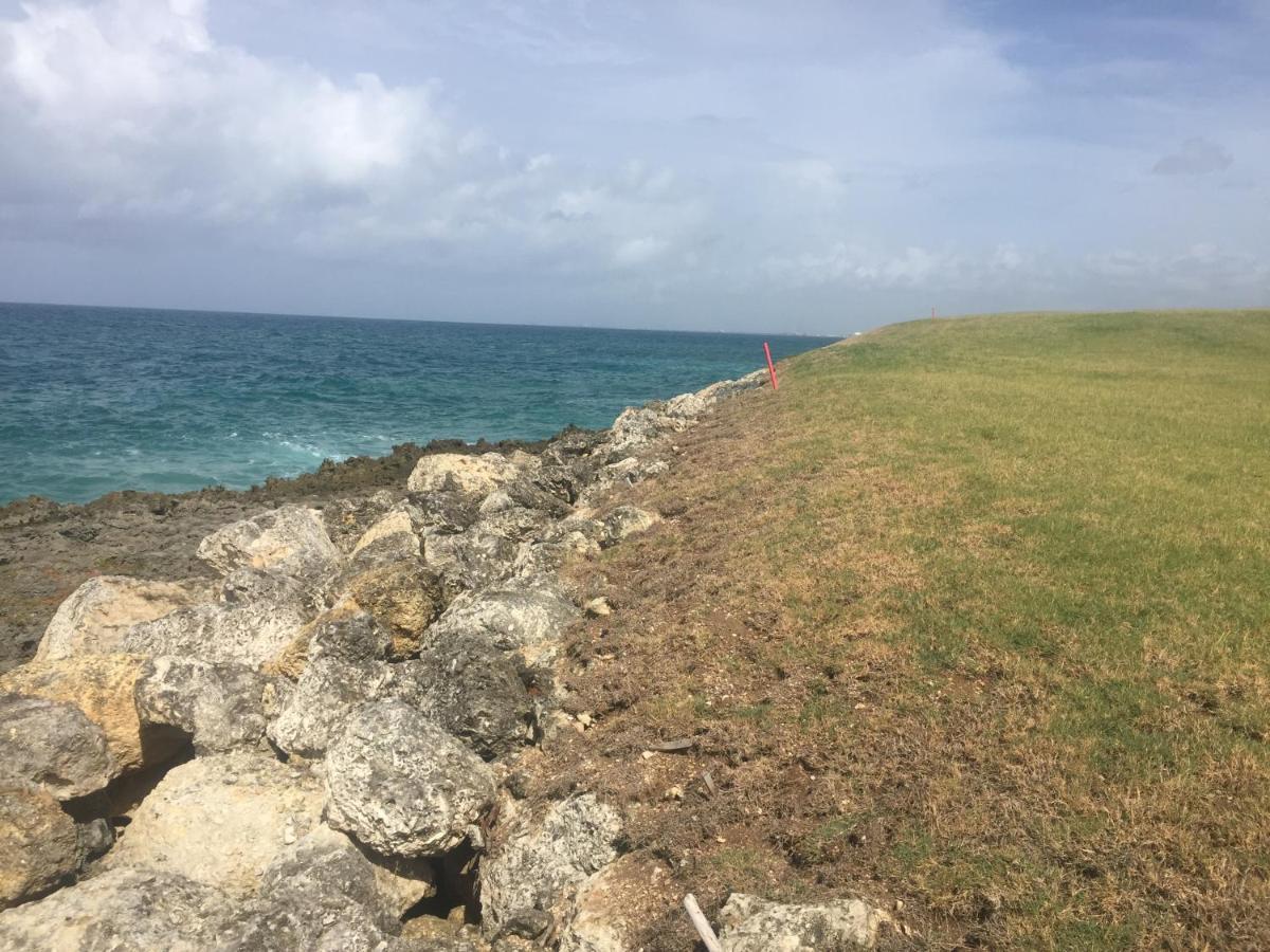 Villa Real Playa Nueva Romana La Romana Eksteriør bilde